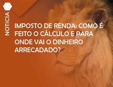 Imposto de Renda: como é feito o cálculo e para onde vai o dinheiro arrecadado?